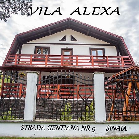 Casa Alexa Villa Sinaia Exterior photo